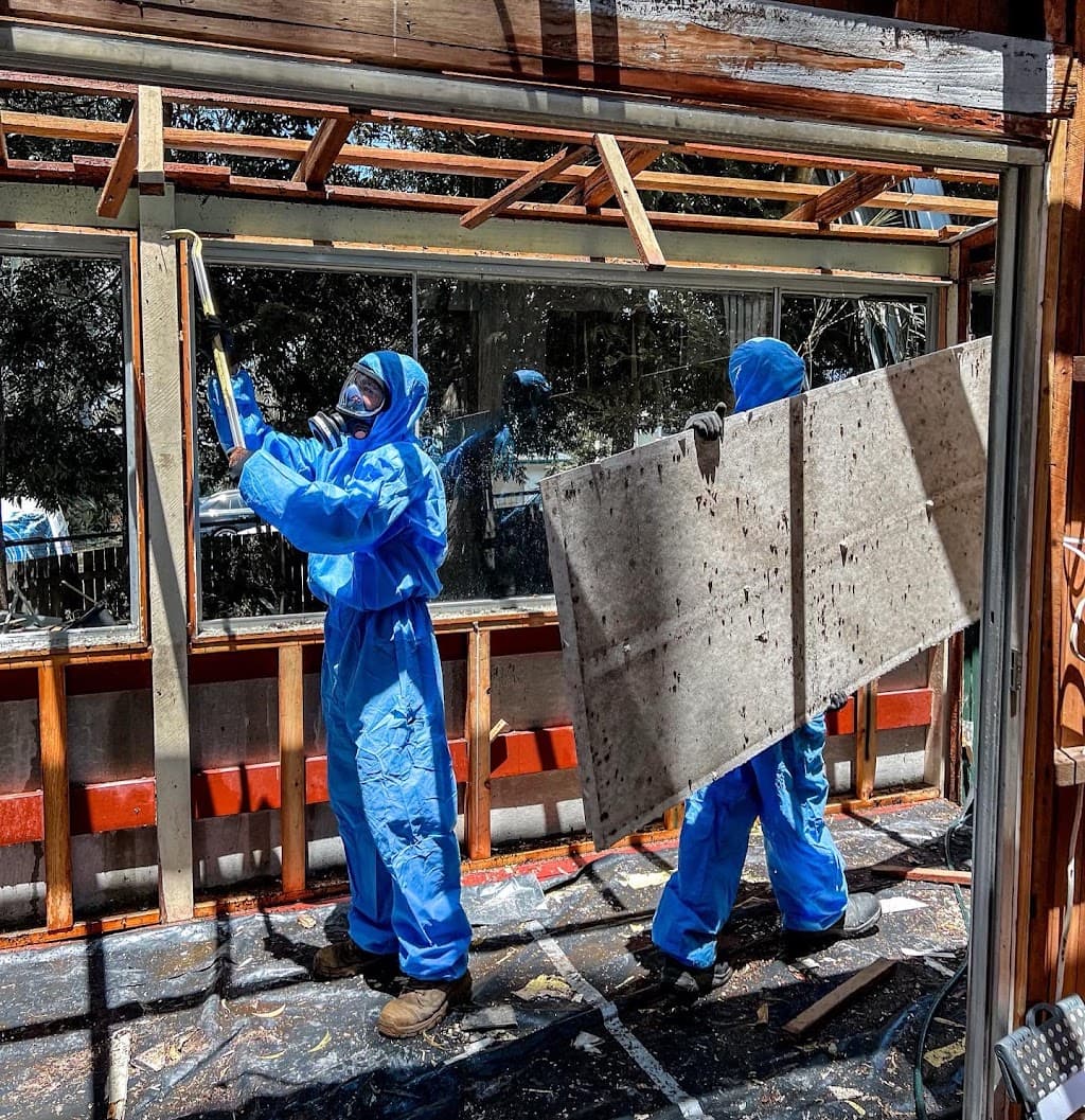 Coastal Demolitions & Asbestos Removal