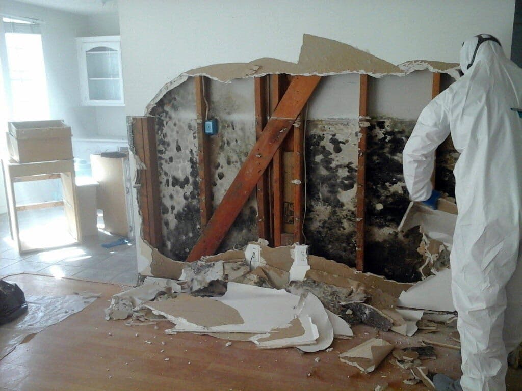 Asbestos Removal Townsville