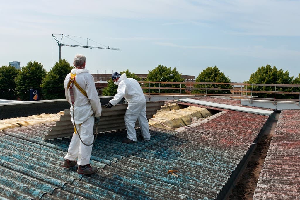 D & D Asbestos Removal and Demolition