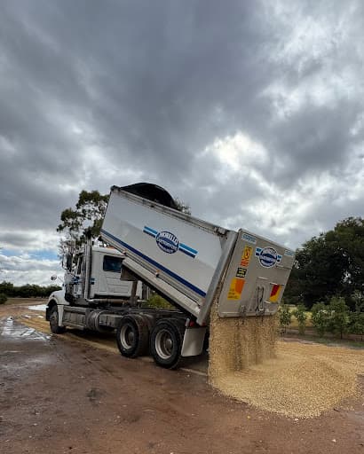 Morello Earthmoving — Customer photo