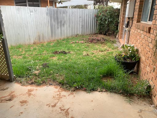 Diggermate Mini Excavator Hire Mildura — Customer photo