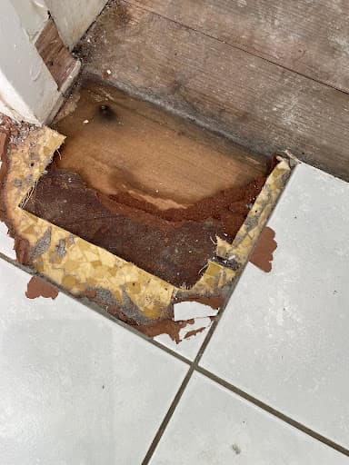 Devo Demolition — Customer photo