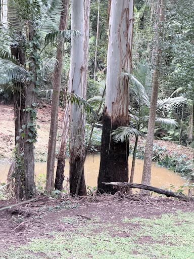 Fraser Earthworks & Co. Pty Ltd — Customer photo