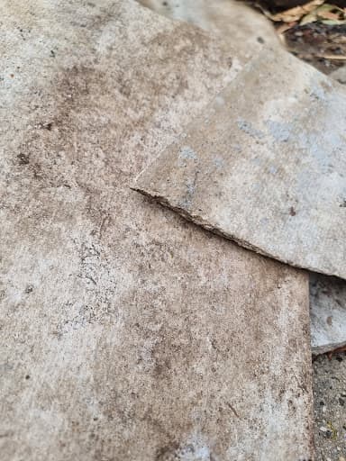 Absolute Asbestos Removal Pty.Ltd. — Customer photo