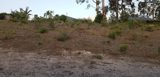 Sabo's "down to earth" Excavations — Customer photo
