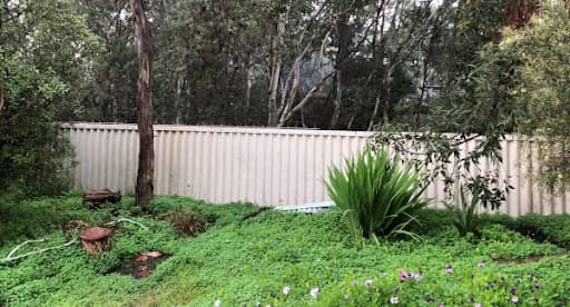 MPA Asbestos Services — Customer photo