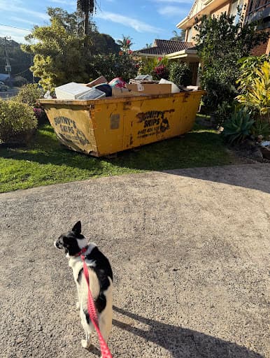 Sunny's Skips — Customer photo