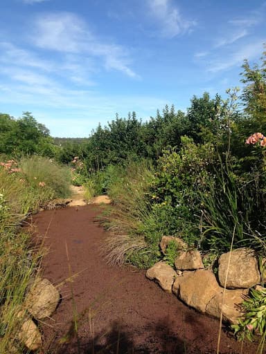 Dubbo Landscaping — Customer photo